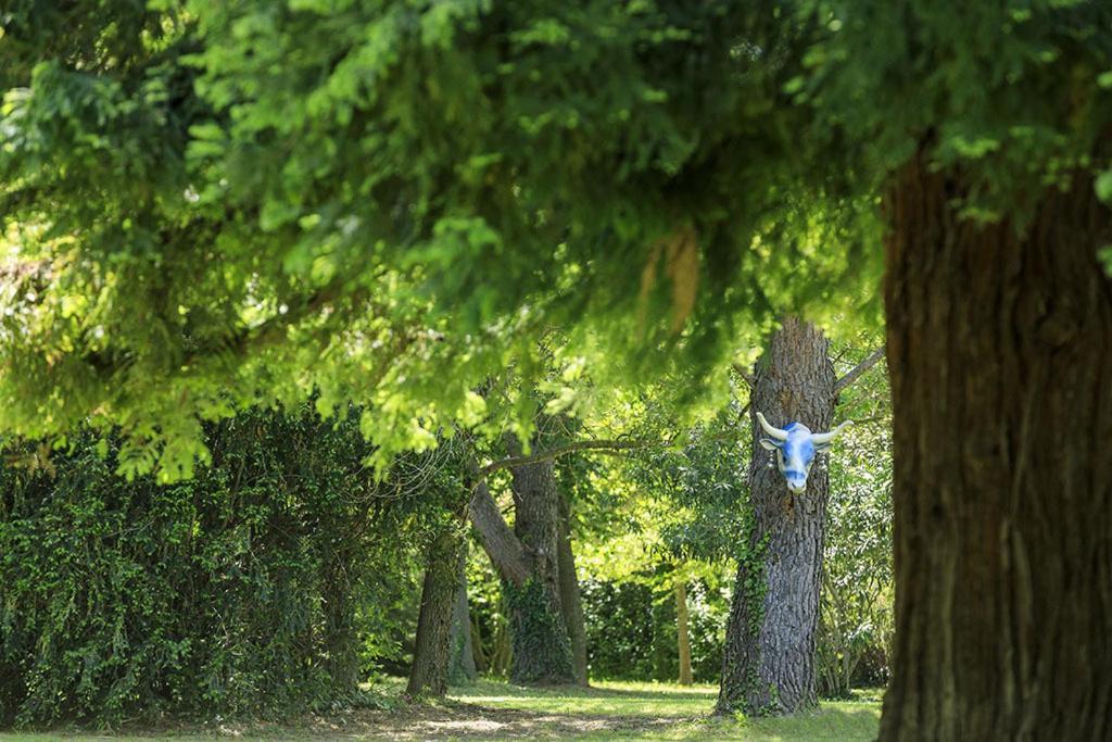 Les Gites Du Domaine De Rhodes Avignon Kültér fotó