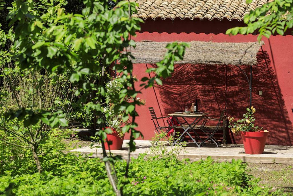 Les Gites Du Domaine De Rhodes Avignon Szoba fotó