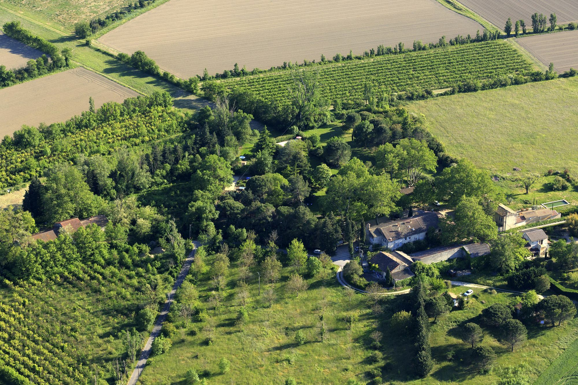 Les Gites Du Domaine De Rhodes Avignon Kültér fotó