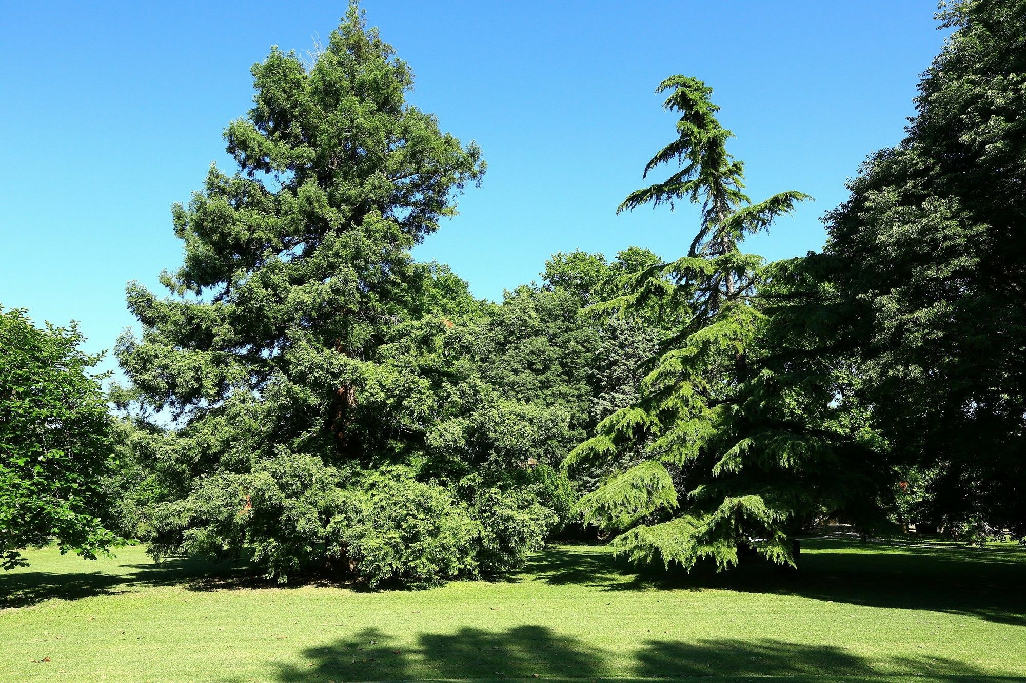 Les Gites Du Domaine De Rhodes Avignon Kültér fotó